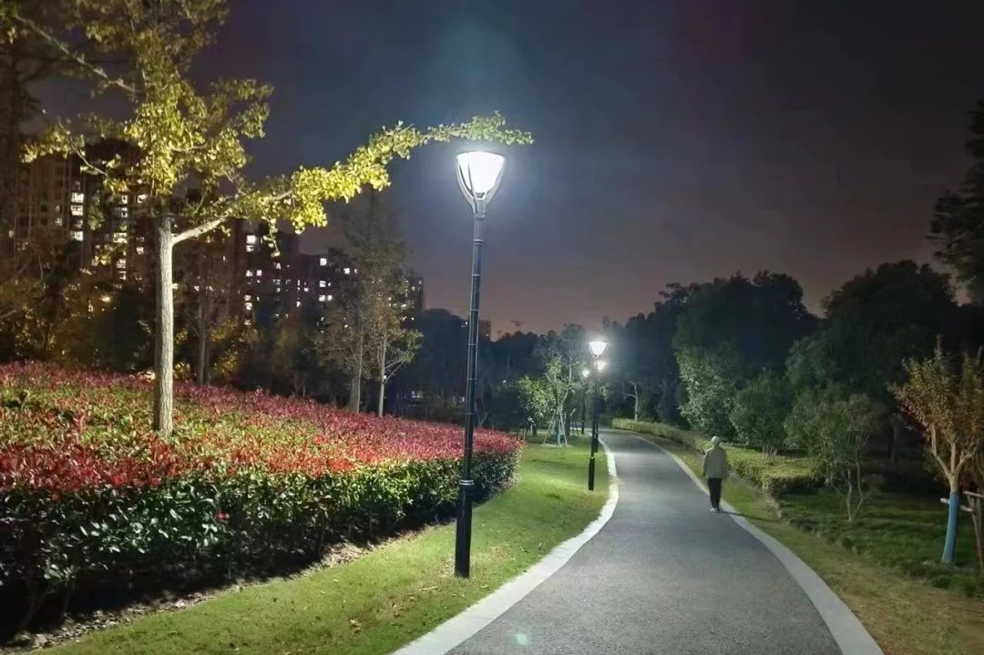 上海奉贤区金汇镇贤雅苑绿地60个庭院照明灯正式亮灯---丰朗光电