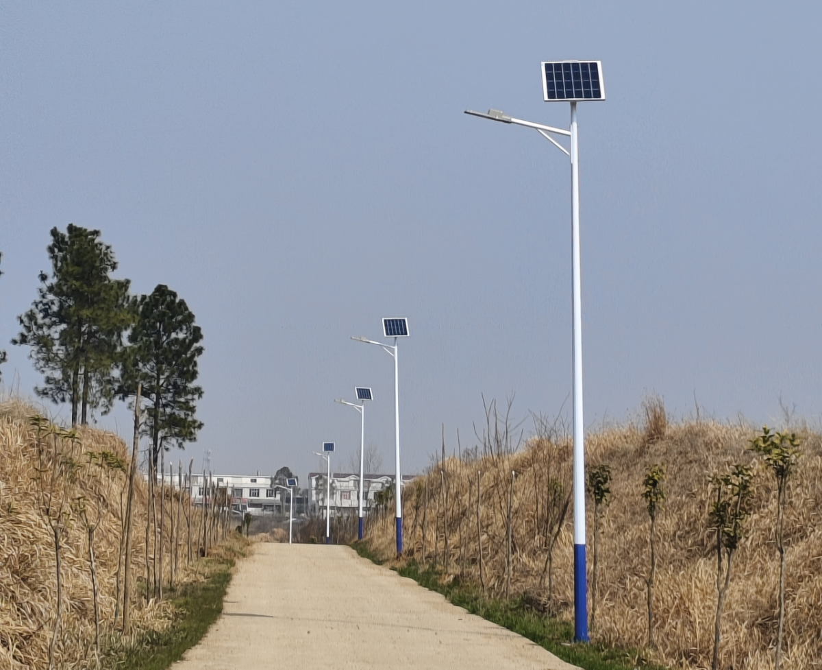  32盏太阳能路灯助推河南信阳固始县乡村振兴路---丰朗光电